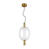 Подвесная люстра ST Luce Allenore SL1582.313.01
