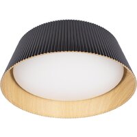 Припотолочная люстра LOFT IT Evans 10224 (черный)