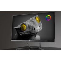 Моноблок ТЕСЛА Z24B 2416500