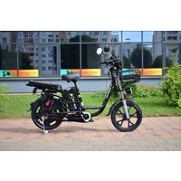 Электровелосипед Terax DVINA LITE NS011