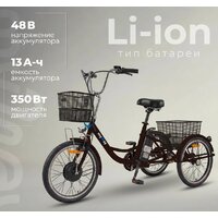 Электровелосипед MyWay Trike 350 Max 24 р.15 (черный)