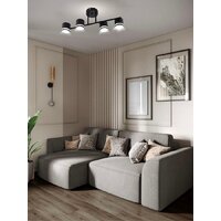 Припотолочная люстра Aitin Pro X1016/4 (черный)