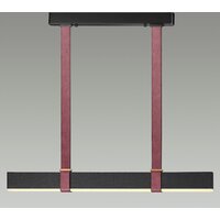 Подвесная люстра Odeon Light Vincent 6629/25L