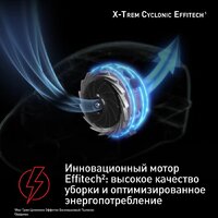 Пылесос Tefal X-Trem Cyclonic Effitech TW7C89EA