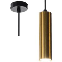 Подвесная люстра Zhong Lighting Limited WND19835/1 (медь)