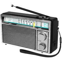Радиоприемник Ritmix RPR-131