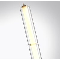 Подвесная люстра Odeon Light Fau 6688/19L