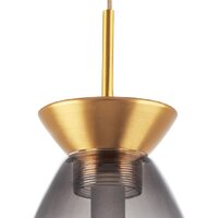 Подвесная люстра Lightstar Colore 805118
