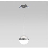 Подвесная люстра Odeon Light Roni 5037/12L