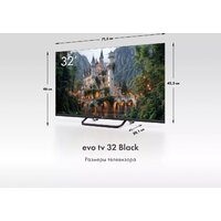 Телевизор Evo TV 32 Black TD0051751RU