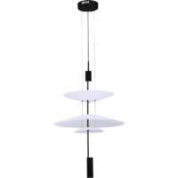 Подвесная люстра ST Luce SL6101.413.01