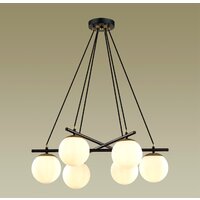 Подвесная люстра Lumion Randi 5212/6