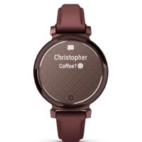 Умные часы Garmin Lily 2 Classic (темная бронза/шелковица)