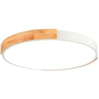 Светильник-тарелка Evoluce Delia SLE201352-01