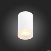 Припотолочная люстра ST Luce ST100.502.01