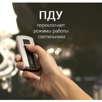 Припотолочная люстра Евросвет 90226/6 (белый)
