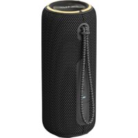 Беспроводная колонка Aiwa PAS-H200 (черный)