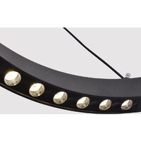 Подвесная люстра F-Promo Slinga 4474-1P