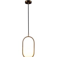 Подвесная люстра LOFT IT Glob LOFT2595-A