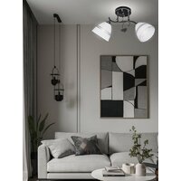 Припотолочная люстра Aitin Pro НПБ 02-2x60-101 5722/2 (черный/хром)