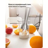 Погружной блендер Econ ECO-437HB