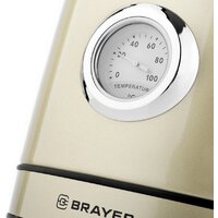 Электрический чайник Brayer BR1005YE