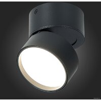 Припотолочная люстра ST Luce ST651.442.09