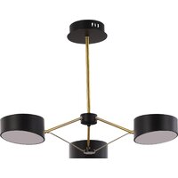 Подвесная люстра ST Luce SLE6005-402-03