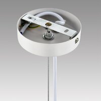 Подвесная люстра Lumion Torina 8265/5