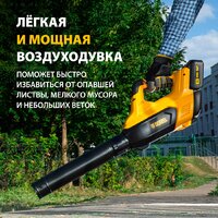 Ручная воздуходувка Denzel RB180-36 59610 (с 2-мя АКБ)