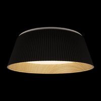 Припотолочная люстра LOFT IT Evans 10224 (черный)