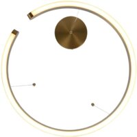 Подвесная люстра LOFT IT Ring 10013L