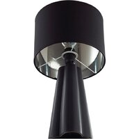 Настольная лампа Lumion Hinami 8124/1T