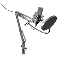 Проводной микрофон Ritmix RDM-169