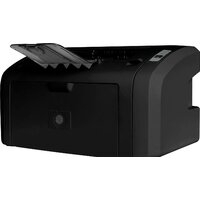Принтер CACTUS CS-LP1120B
