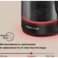 Электрический чайник Redmond (Редмонд) KG259S (черный/тонировка)
