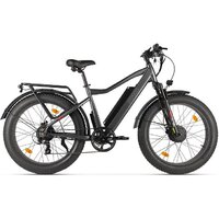 Электровелосипед Eltreco BigCat Dual Next (черный)