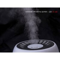 Увлажнитель воздуха Pioneer HDS31