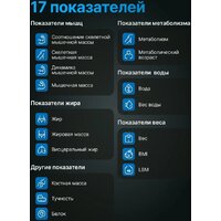 Умные напольные весы Мера Smart Fit Pro 71061822 (черный)