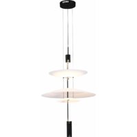 Подвесная люстра ST Luce SL6101.413.01