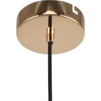 Подвесная люстра F-Promo Sheen 2757-1P