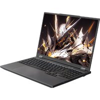 Игровой ноутбук Maibenben X-Treme Tsunami X16F X16F-R98957T0GGRLG4E10