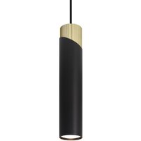 Подвесная люстра Wolta WSL-GU10/P06BG