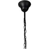 Подвесная люстра Favourite Situla 1976-1P