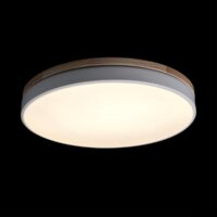 Светильник-тарелка LOFT IT Axel 10001/36 White