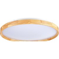 Светильник-тарелка Evoluce Delia SLE201382-01