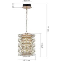 Подвесная люстра ST Luce SL6137.203.01