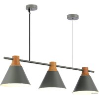 Подвесная люстра Evoluce Modica SLE125113-03