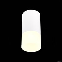 Припотолочная люстра ST Luce ST100.512.01