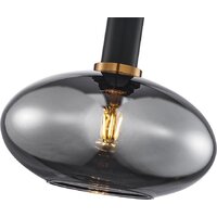 Подвесная люстра F-Promo 4359-1P